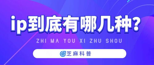 代理IP的種類與代理代辦服務(wù)解析